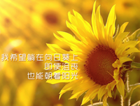 有关逍遥自在的美文美句摘抄