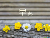 15条关于畏首畏尾的经典语句