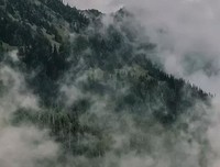 官场短篇：苦心