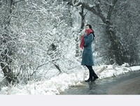 雪落无声月自柔经典的句子