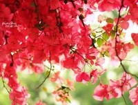 有关宝贝的句子