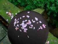  读懂《 菜根 谭》经典10句，人生豁然开朗 