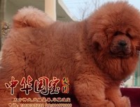 玉楼再心阙慵归去的句子