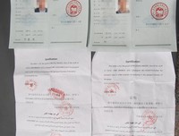 《艾维奇的真实故事》经典观后感集