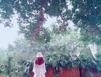 我想要更多的明天拿来无所谓
