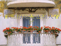 花团锦簇的句子