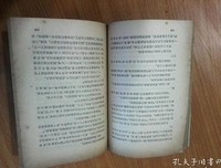 关于小说一夏的句子