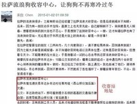 变成狗狗去流浪
