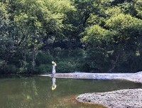 最经典的《傲世九重天》经典名句
