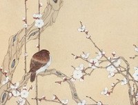 邓白入骨，奉孝于心句子