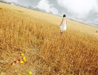 唯美，名句欣赏