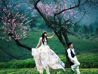 有关关于，另类。的句子
