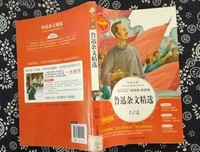 杂文美句的句子