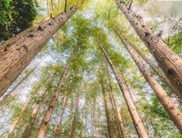 第二扇门经典名句