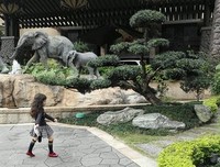 生命不息的名句_关于生命不息的名句