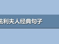 最全的《包法利夫人》经典句子大全