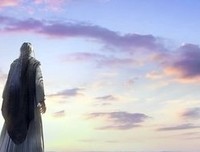 《西行纪之再见悟空》经典观后感集