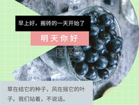 《你好，之华》观后感摘抄