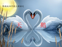 动人心魄的语句摘抄_关于动人心魄的语句