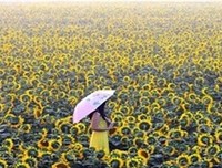 关于呼风唤雨的座右铭