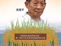 5月6日！传来大好消息，谁也不会料到来得如此快！！