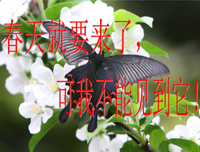 联想与想象——让你的作文飞起来