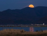 你的双眼成就了每一片晚霞和星空。 ​​​​
