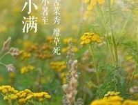 请把我流放到最美的时光里读后感锦集