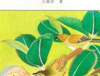 《白痴》读后感锦集