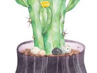 被捧在手心里的感觉
