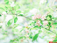 《那时晴空》的句子