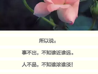时间，验证了人心！