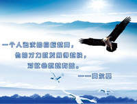 关于雅俗共赏的名句摘抄