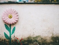 静待花开，芳香自来