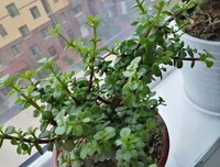 今生不会再错过