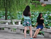 生成中多有不只便走前的苟且，可对作便有诗和国中十之