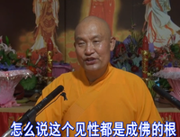 不开悟不见空性，着相修行都是盲修瞎练