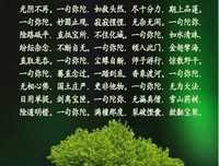 依止印光大师文钞的十大理由