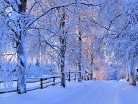 雪至雨夹