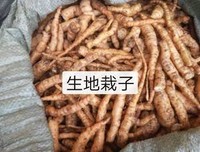 痛，成生地入骨句子