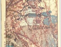 杂七杂八的句子