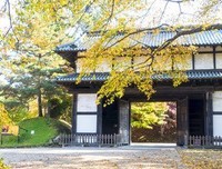 作文可用经典名句