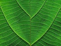 木心优美的句子