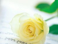 关于迷茫名言名句