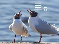 关于文艺少女摘抄本的优美句子