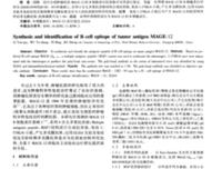 多重可能性的分支岔口