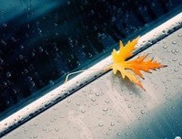15条关于心甘情愿的经典语句