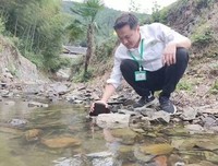 关于清凉的座右铭