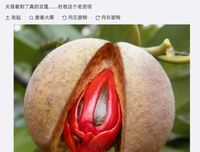 句子收藏