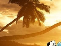 别么得心气的样句子大全